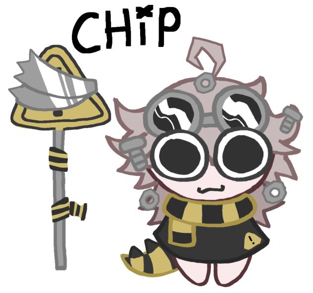 Chip