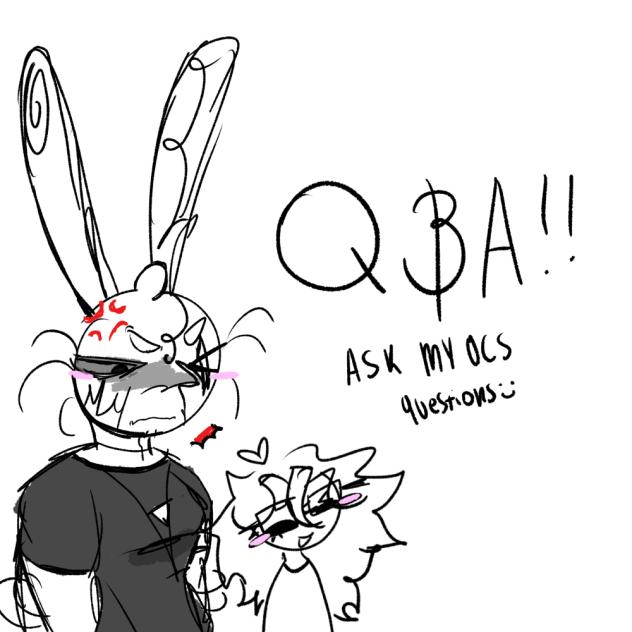Q and A !!