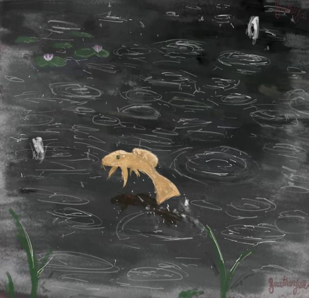 Sketch - ibisPaint