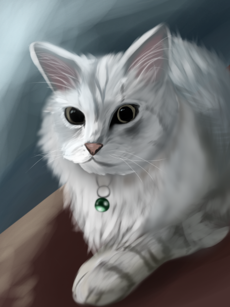 模写チャレンジ‼️ネコちゃん！