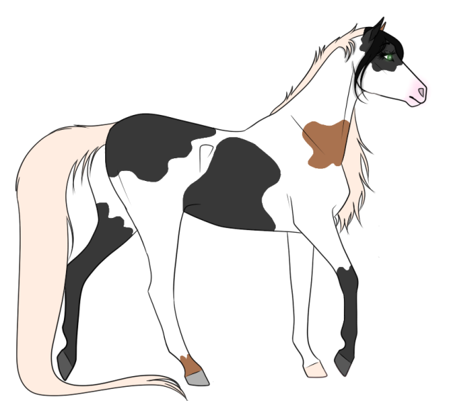 Unnamed new OC