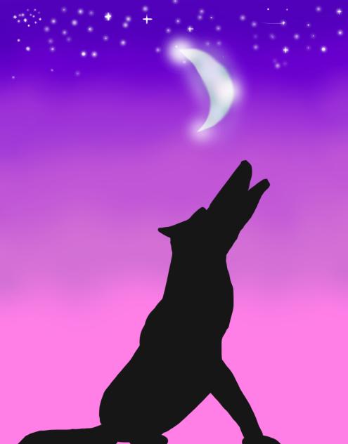 howling wolf and starry sky
