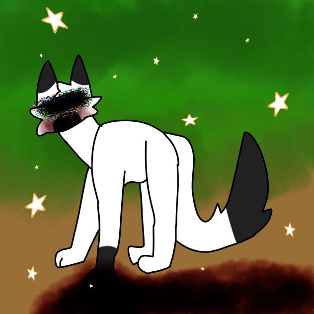 The starless night!