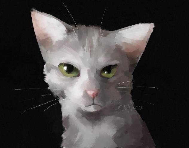 cat yeye