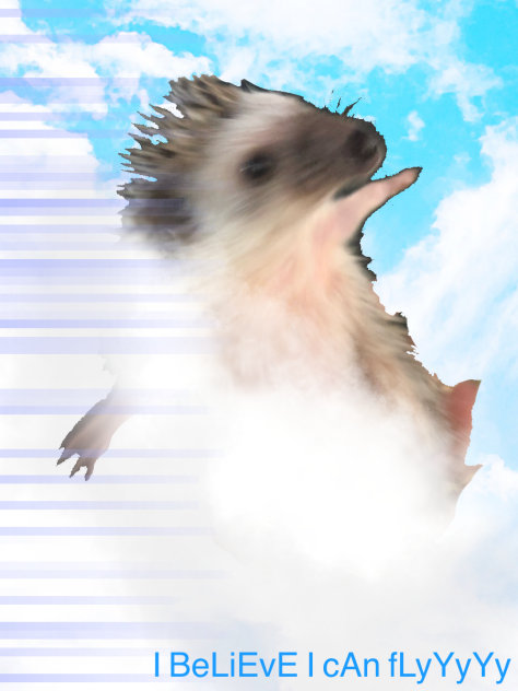 I believe I can FLYYYYYYYYY