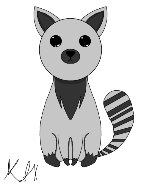 Half-Racoon Half-Cat