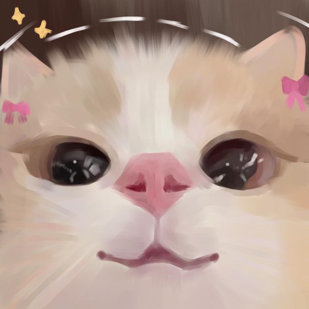 Catsi Matsi