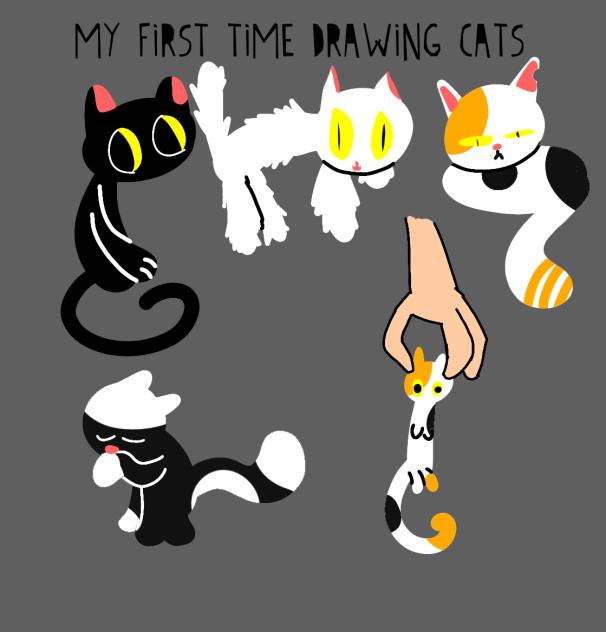 Cat🐈 - ibisPaint