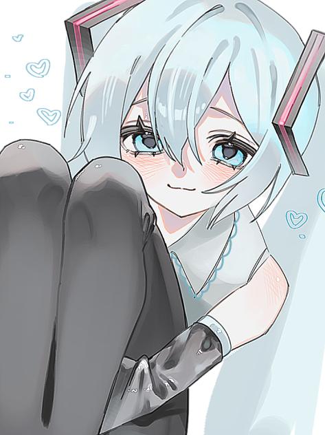 ミクちゃ