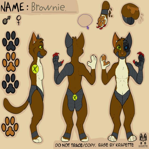 Robocat #24. (Brownie)