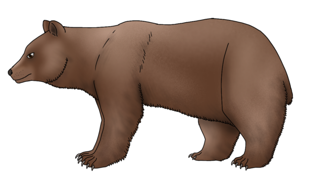 Gobi Bear render