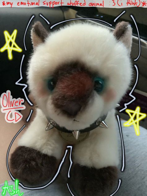 OLIVER ❤️❤️❤️