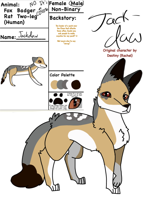 Jackdaw’s design