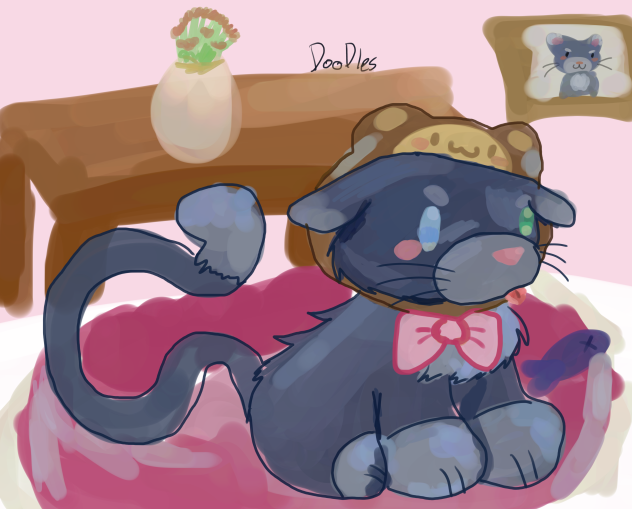 Kitty with a monkey hat🙈🐱🌷