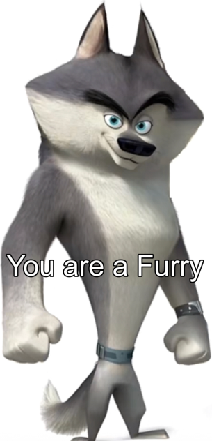 You are