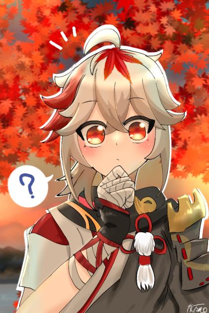 やたらと頭の方を見て…如何された？