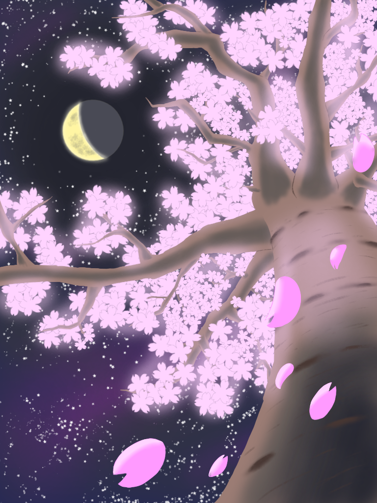 宵の一本桜 Ibispaint