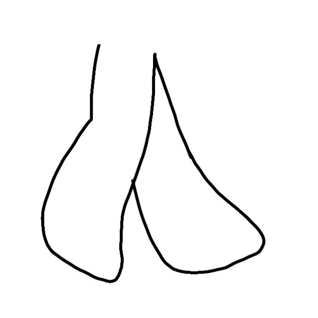 Walk cycle - ibisPaint