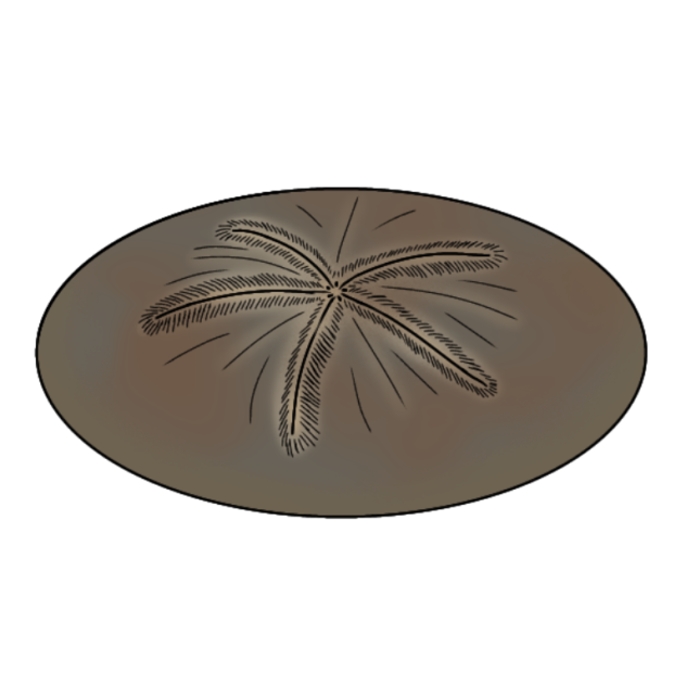Mangrove Pebble Dollar render