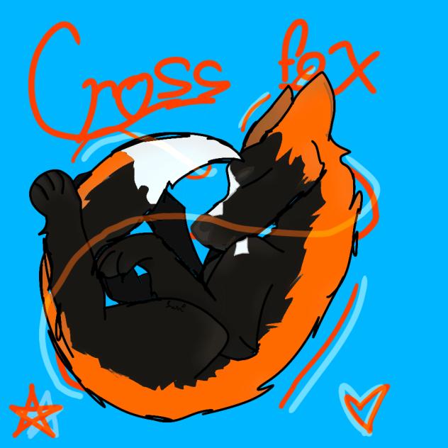 Cross fox