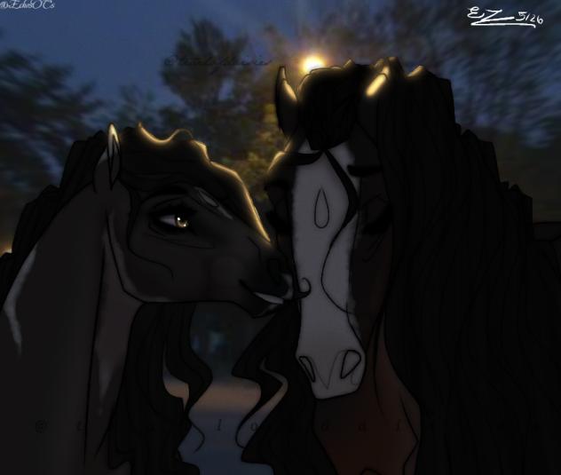~ Sofia x Blaire ~