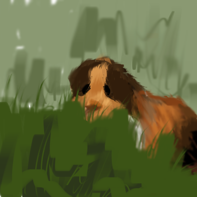 ANOTHER GUINEA PIG YA’LL