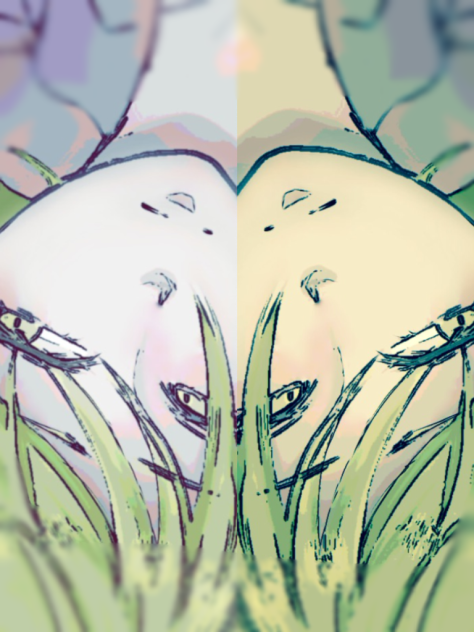 落書き
