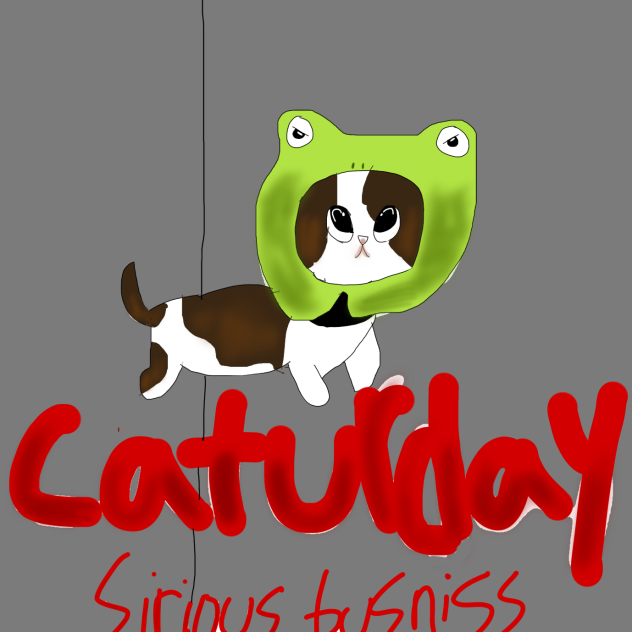 Caturday
