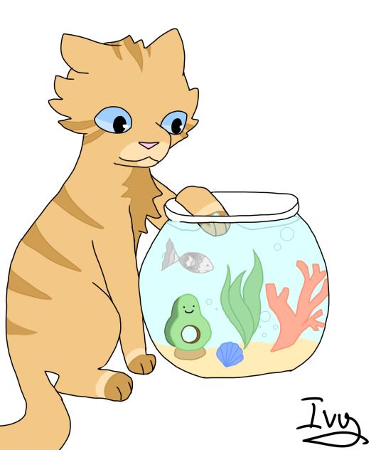 Fishbowl
