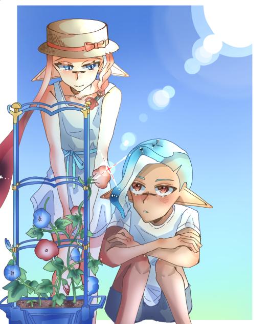 朝顔