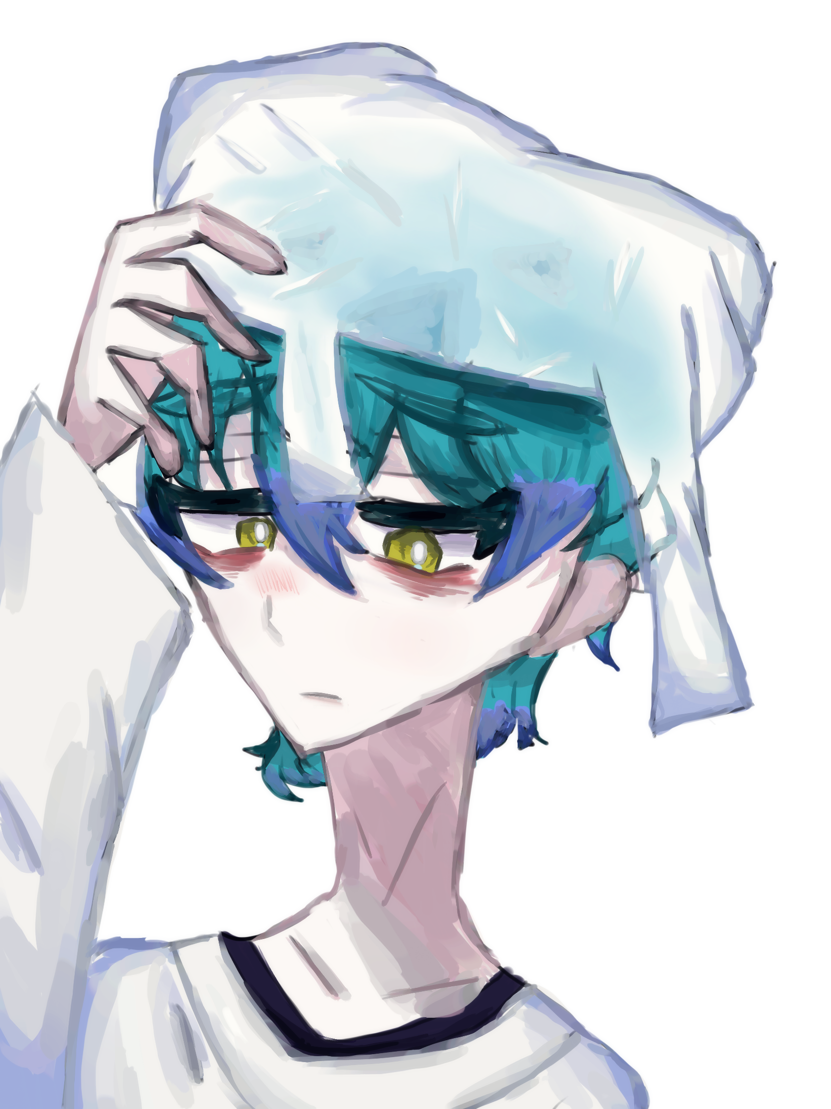 湊大瀬 - ibisPaint