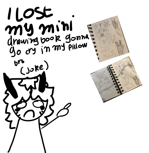 gonna go cry in my pillow (jokeidk)