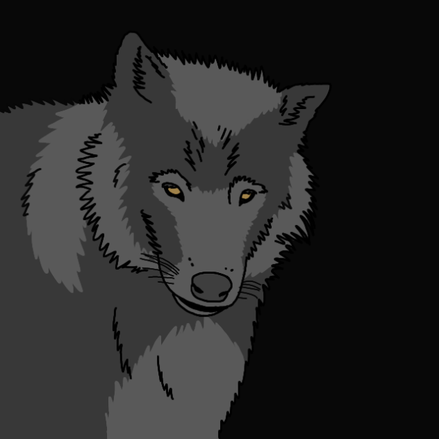 Wolf yawning