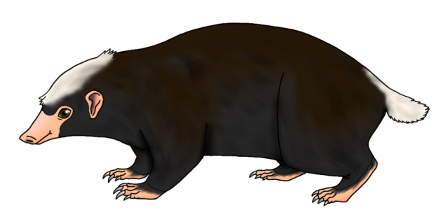 Palawan Stink Badger render