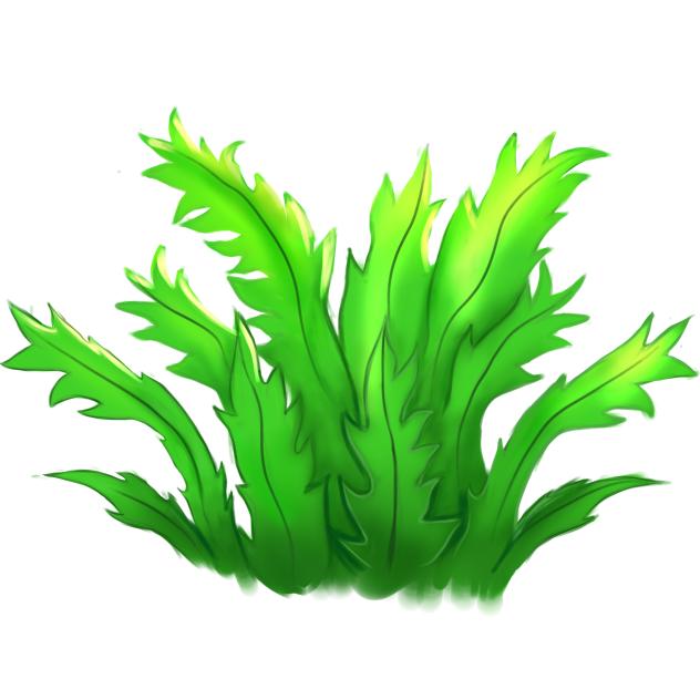 Aquatic plant