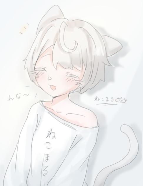 猫丸のﾇｯｺ〜