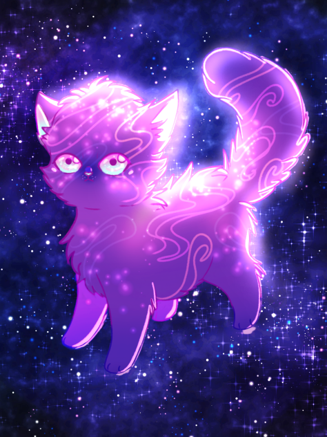 ✨Galaxy Cat✨