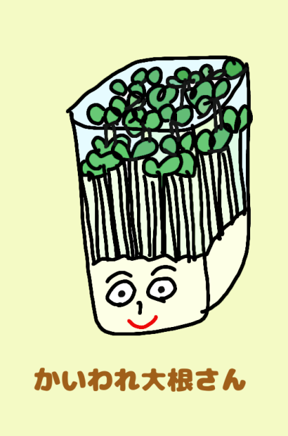 かいわれ大根さん