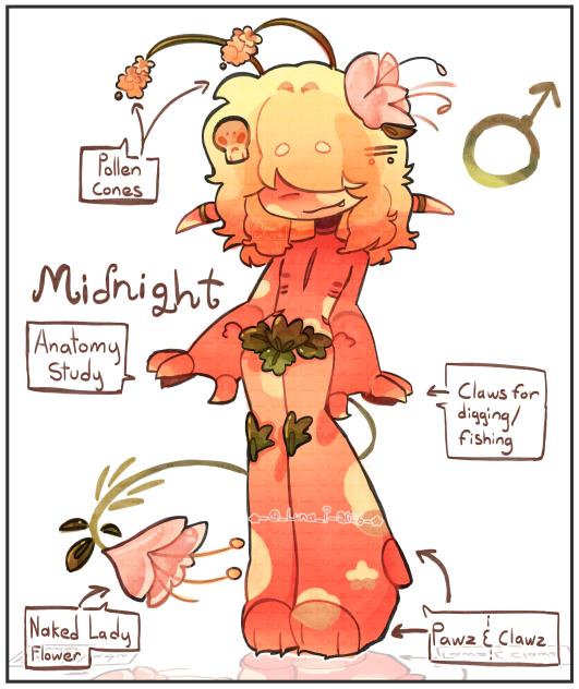 🌿🤍 - Flower Midnight Anatomy - 🤍🌿