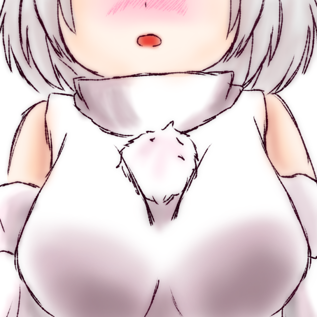 もみっぱい