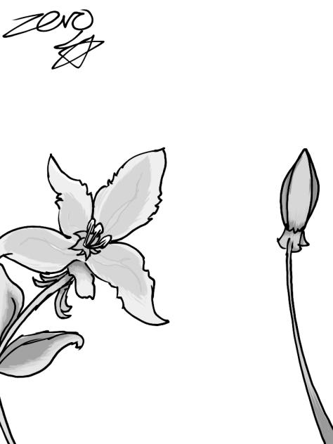 flower 3 🌸 - ibisPaint