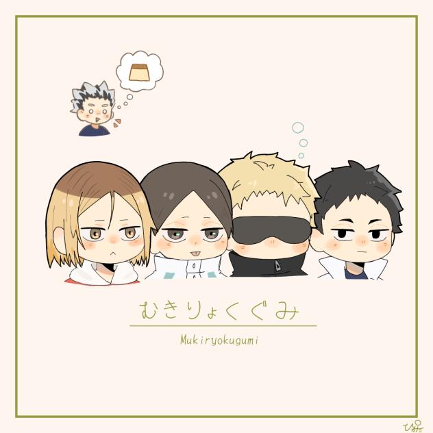 チームむきりょく