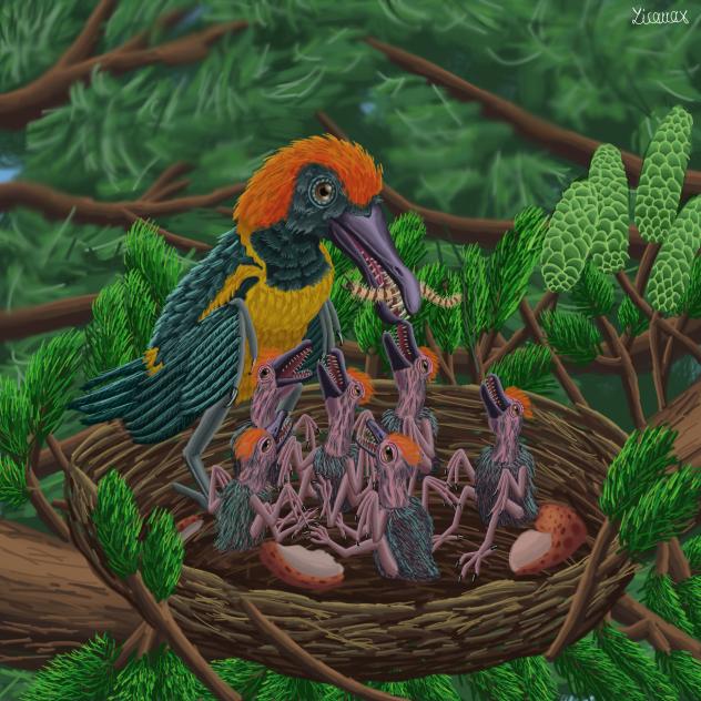 Longipteryx chaoyangensis In Its Nest