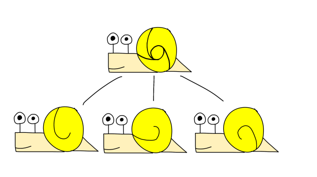 こたつむりのこうらにかんする情報を表した図