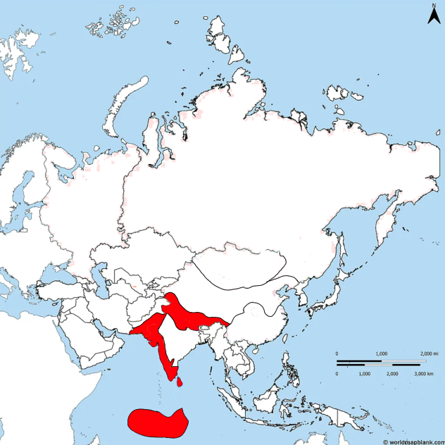 what if my custom country made an empire