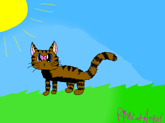 Butterfly Cat