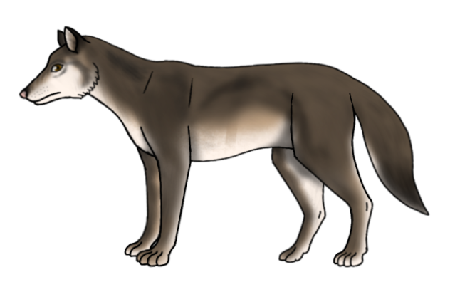 Hokkaido Wolf render