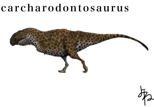 carcharodontosaurus・saharicus
