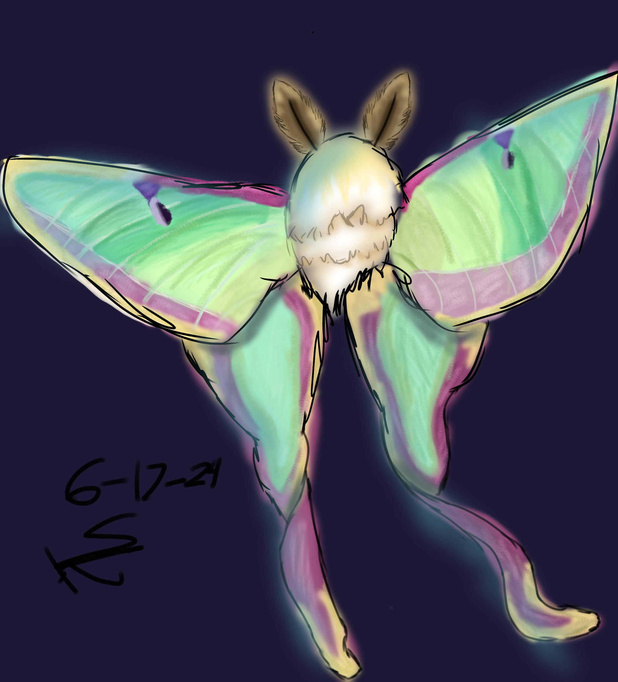 chinese moon moth - ibisPaint