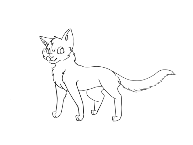 Cat outline